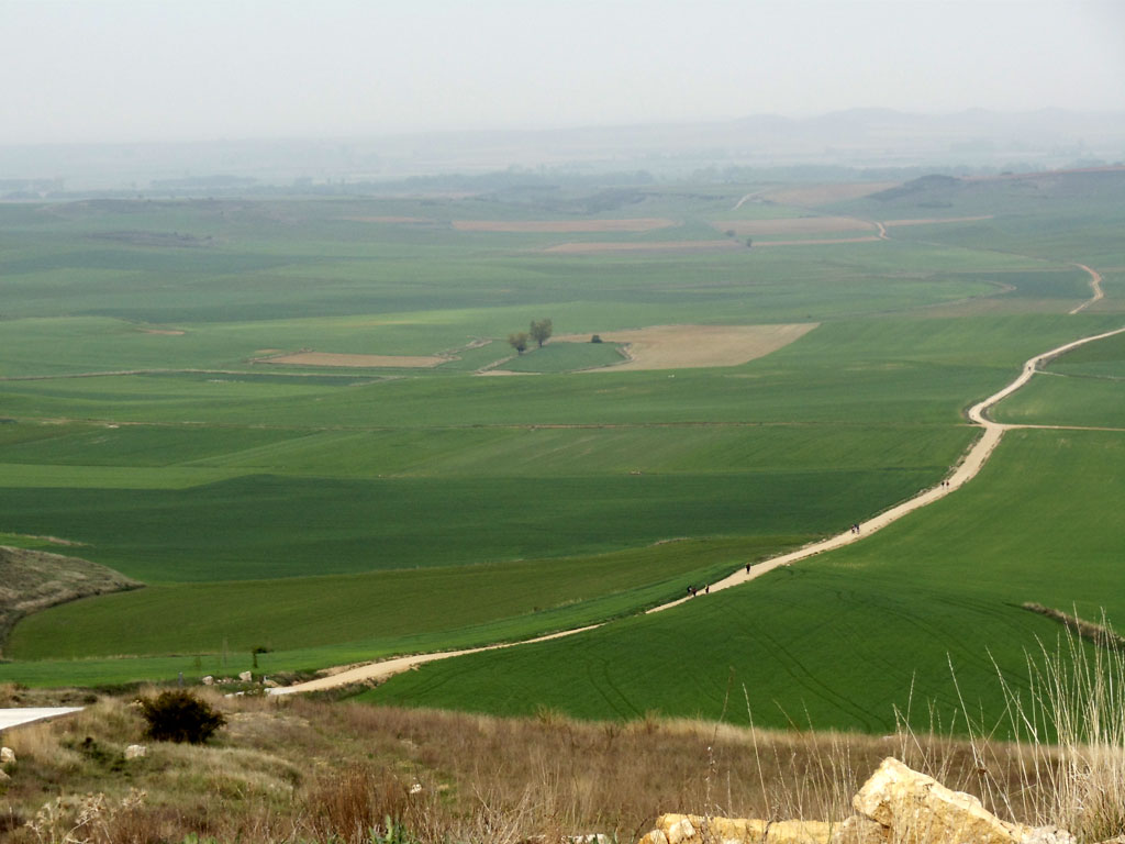 ©_by_Heike_Bruemmer