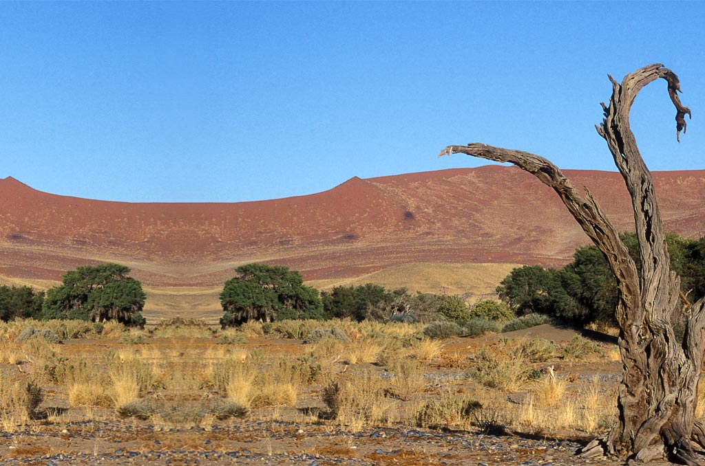 ©_by_Franziska_Reiner