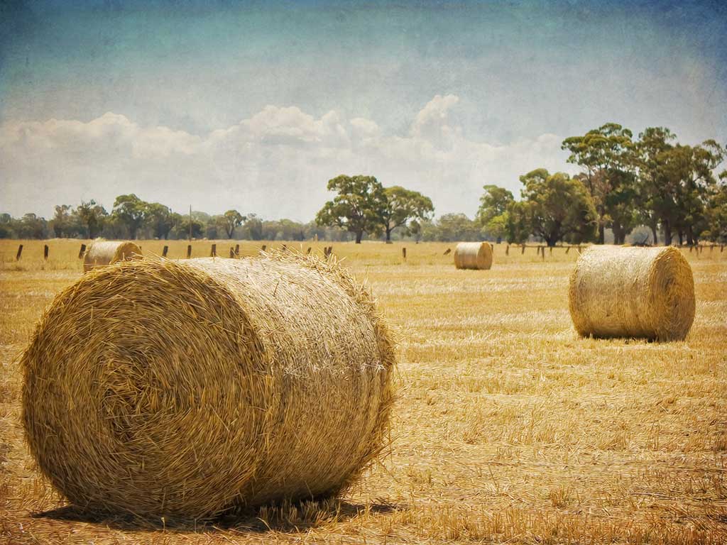 ©_by_aussiegall_http://commons.wikimedia.org/wiki/File:Hayrolls_%284310724555%29.jpg
