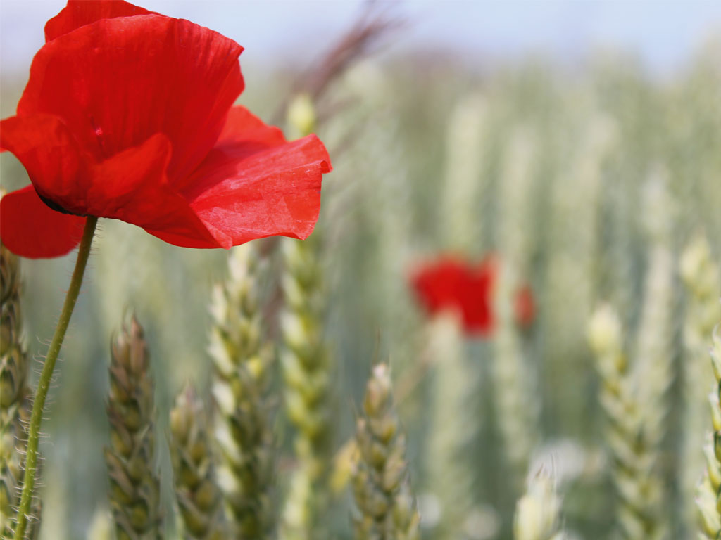 ©_by_Katrin_Katryniak