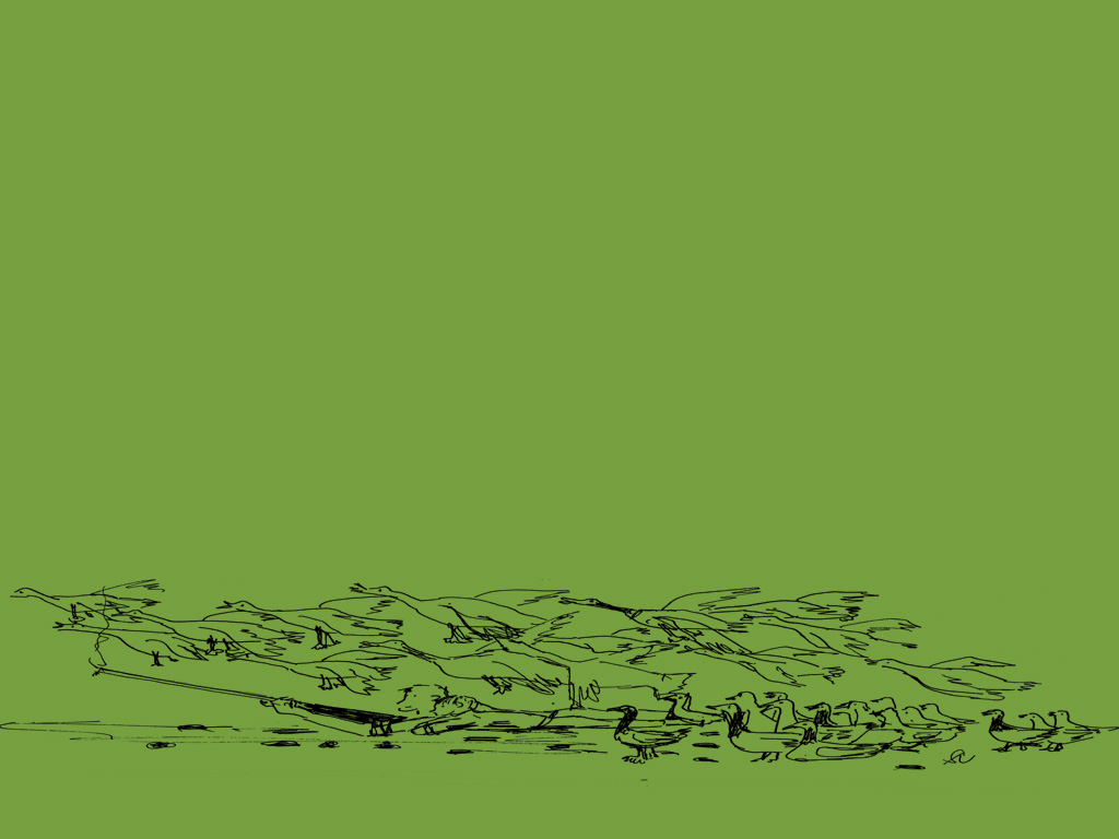 ©_by_Susanne_Natusch