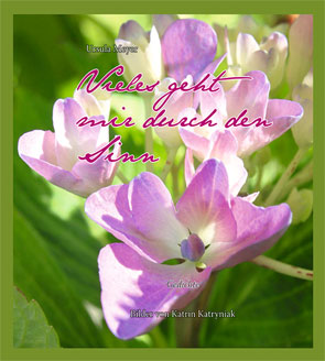 Zu den Bildb&auml;nden